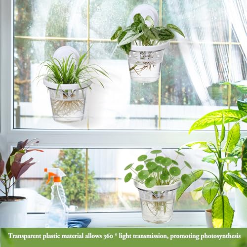 4 Set Wall Planter with Suction Cups Window Propagation Stations