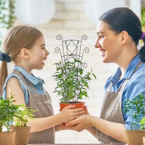 Yhtpouqe Stackable Plant Support Stakes, 2 Pack Metal Twig Plants Trellis for Indoor and Outdoor Use, Garden Accessories for House Potted Flower Monstera Trumpets 15.35 inch - size: 2 Pack