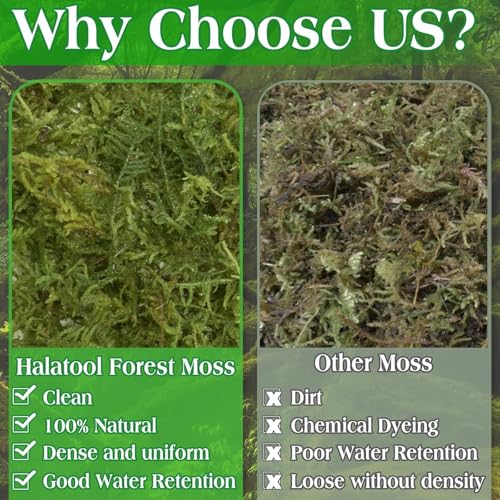 Halatool 2.2LB Green Moss for Indroor Plants, 8QT Orchid Moss for Repotting - size: 35.2 oz