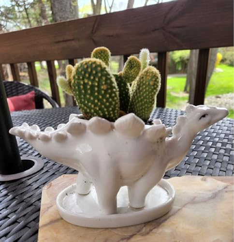 Cute Animal Shaped Planter Flower Pot Frog Shape Small Succulent pots with Drainage Ceramic Animal Planter (Dinosaur 4pcs) - color: Dinosaur 4pcs