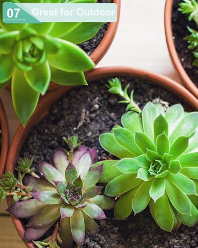 vensovo 5.7 Inch Black Terracotta Succulent Pots with Saucers, 6 Pack - color: Black, size: 5.7 Inch