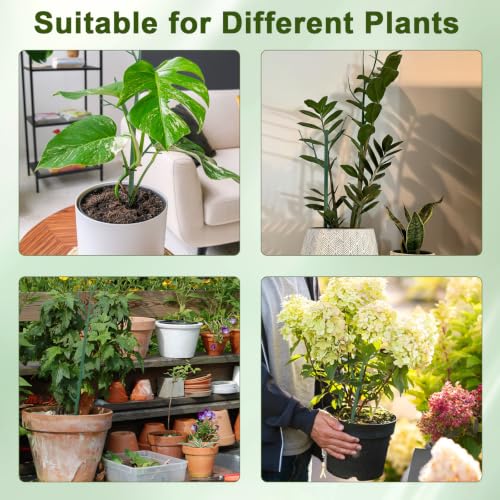 10 Pack Stackable Plant Support Stakes, Climbing Plant Support Structures for Monstera, Pothos, Philodendron Garden Plant Stakes for Indoor Outdoor Plants - size: 39.5" - 10 Pack