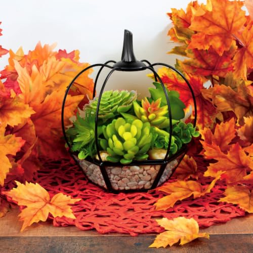 D'Eco Pumpkin Glass Terrarium, 7x7x8, Rustic Black Trim Geometric Planter