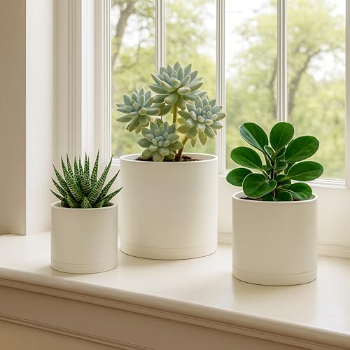 D'vine Dev 3-Pack Plastic Pots & Saucers, 4/5/6 in, Oatmeal, 74-V-H-1 - color: Oatmeal, size: Small