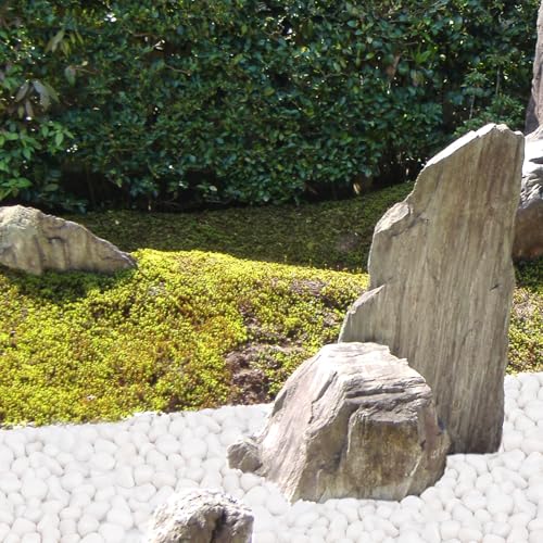 Pulovin 30 lbs White Rocks for Landscaping, Vases, Plants Indoor, 1-2 Inch - color: White