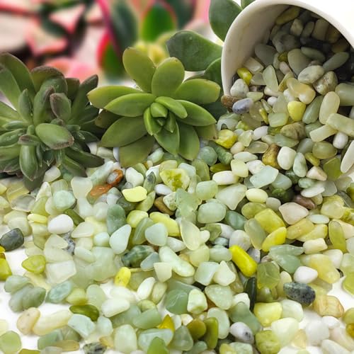 FANTIAN 5 lbs Jade Pebbles for Indoor Plants,1/4 inch Polished Gravel Rocks for Plants, Succulents, Cactus, Vases, Terrarium and Outdoor Gardening - size: 5 pounds, style: Jade