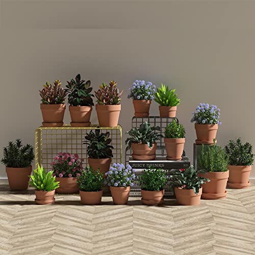Fcacti 2.7 Inch Terracotta Shallow Succulent Pot - 30 Pack Mini Terra Cotta Clay Pots with Drainage, Cacuts Terra-Cotta Indoor and Outdoor Planters with Drainage Hole - size: 2.7 inches