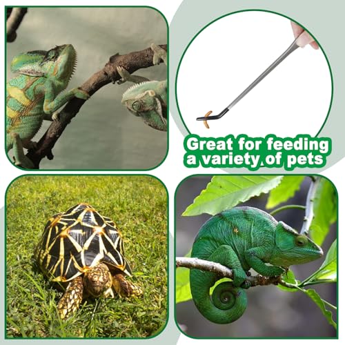 Stainless Steel Reptile Feeding Tongs 10.6" Straight and Curved Long