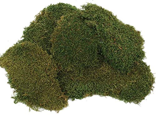 Preserved Reindeer Moss - 2 oz- Bag (Sheet Moss) - color: sheet moss