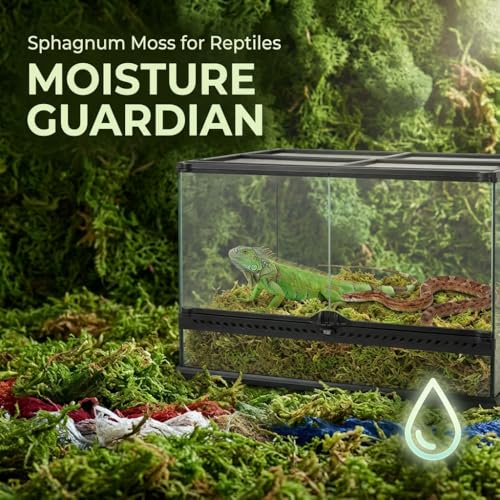 Sukh Sphagnum Moss for Reptiles - Terrarium Reptile Moss Substrate, 6.3 OZ - color: Green, size: 6.3 Ounces