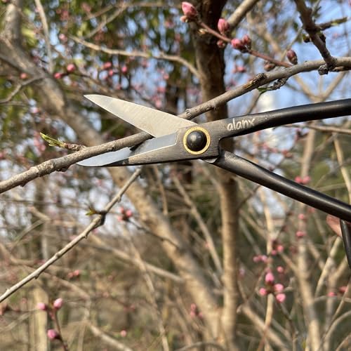 8 Inch Full-Steel Forged, Bonsai Small Branch Shears for Delicate Shoots and Leaves
