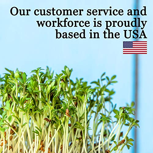 Handy Pantry 10-Pack 1020 Garden Growing Trays with Drain Holes - 10" x 20" - size: 10 Pack, style: With Drain Holes