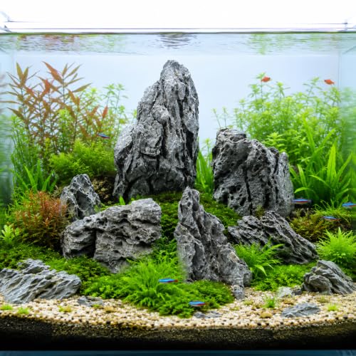 Seiryu Stone Aquarium Rocks for Fish Tank,10LB 3-7inches | Natural Stone for aquarium hardscape, aquascaping, terrariums, bonsai, and potted plants - size: 10lb,3-7inches