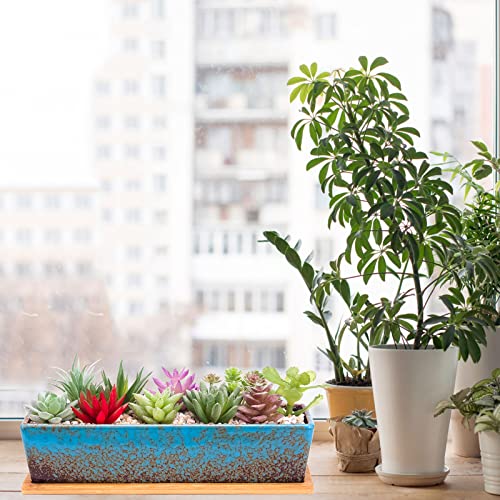 Succulent Pots, 12'' Large Long Rectangle Succulent Planter Pots with Drain - color: Blue