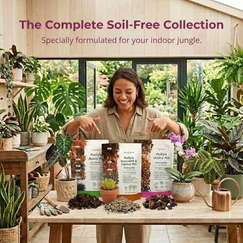 Molly's Orchid Potting Mix Chunky Soil-Free for Indoor Orchids 5 Dry Quarts - size: 5 Dry Quarts, style: Orchids