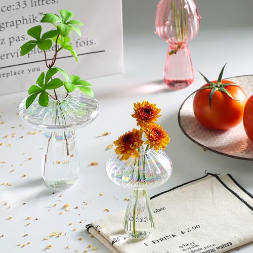 Mushroom Vase, Set of 6 Clear Glass Propagation Stations Vases - color: Clear