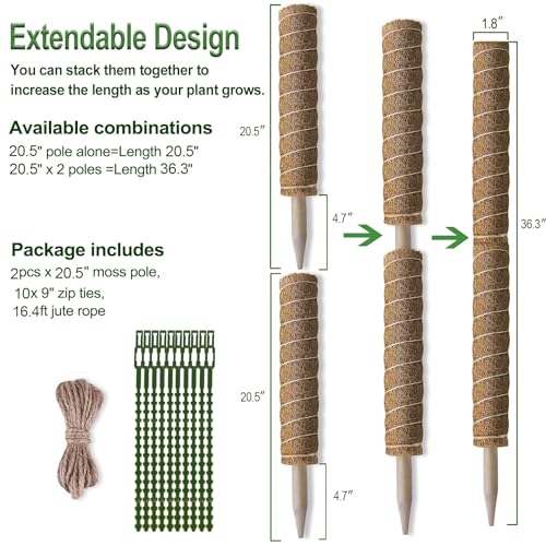 Fabulas Moss Pole 36 Inch - Monstera Plant Support, 2 Pack 20.5 Inch Plant Stakes for Indoor Plants Coco Coir Moss Pole Sticks for Climbing Potted Live Plants, Pothos, Philodendron, with Garden Ties - size: moss pole 20.5"x2pcs