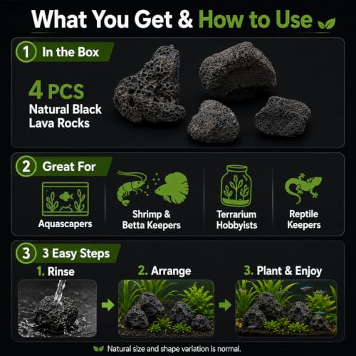 2–3.1 Inches Natural Black Lava Rocks, 4PCS Small Aquarium Rocks for Aquascaping, Fish Tank Decor, Nano Tanks, Terrariums & Reptile Enclosures (Small 2–3.1 in) - size: Small 2–3.1 in
