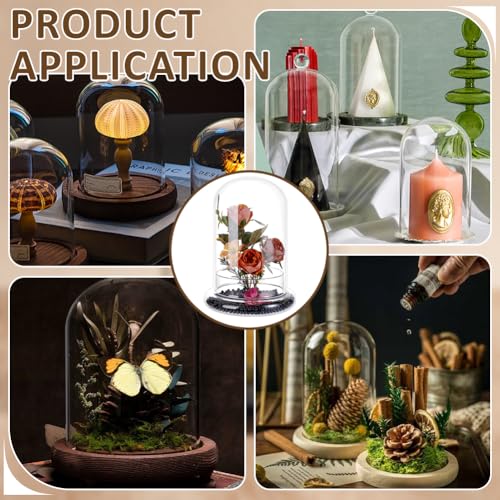 PH PandaHall Glass Dome Cloche 5.5x8.46inch Clear Terrarium Planter with Base Tabletop Display Terrarium for Indoor Plants Succulents Cactus Tabletop Home Decoration - size: 5.5x8.46inch