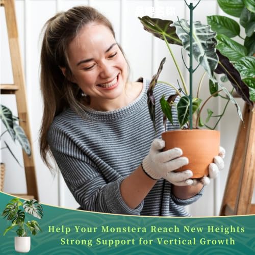8 Pack Stackable Monstera Plant Support Stakes,8Pcs 11 Inch Climbing Plant Sticks Structures with Garden Ties, Durable Alternative to Moss Pole for Indoor Outdoor Plants - size: 8 Pack