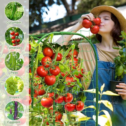 U-Shape Cucumber Trellis with Fabric Raised Garden Bed 65x50 Inch Metal Garden Arch Trellis with Net, Climbing Plants Vegetables Heavy-Duty Outdoor Plant Support for Pea, Grape, Squash, Tomatoes - size: 1pack 65 x 50 Inch
