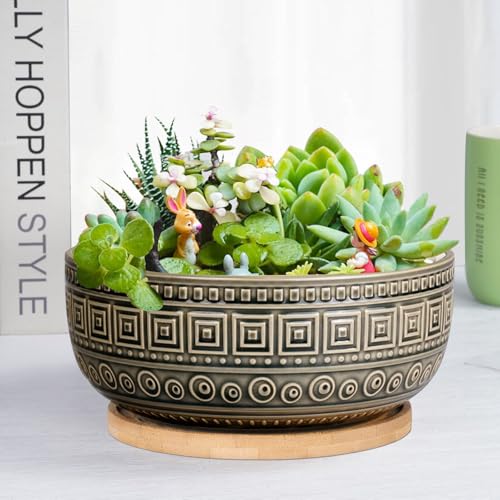 G EPGardening 8 Inch Ceramic Succulent Planter Pots Round Shallow Bonsai Planter Pot for Indoor Plants with Drainage and Bamboo Saucer Gray - color: Gray