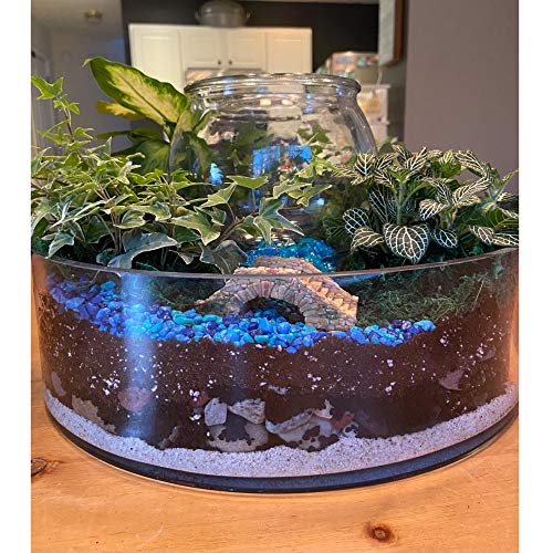 WGV Cylinder Vase, Open Width 15", Height 4", Clear Flat Pan Style Container, Planter Terrarium, Floral Centerpiece for Wedding Party Event, Home Office Decor, 1 Piece - size: 15"x4"H