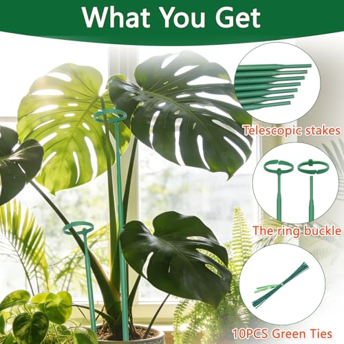 Telescoping Monstera Plant Stakes, 12.5-48.4IN Indoor Plant Support- 3Pack | Extendable Plant Stakes for Climbing Plants, Premium Stainless Steel Material Plants Sticks for Orchids, Tomatoes - size: 3pcs