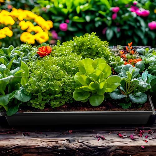 1020 Seed Starting Trays with Tall 7.3" Humidity Dome, No Hole, 5-Pack | Heavy Duty Plant Tray with High Lid for Taller Seedlings, Large Seed Growing Kit, Mini Greenhouse for Indoor Seed Germination - size: 5p 1020Trays+7.3''Domes