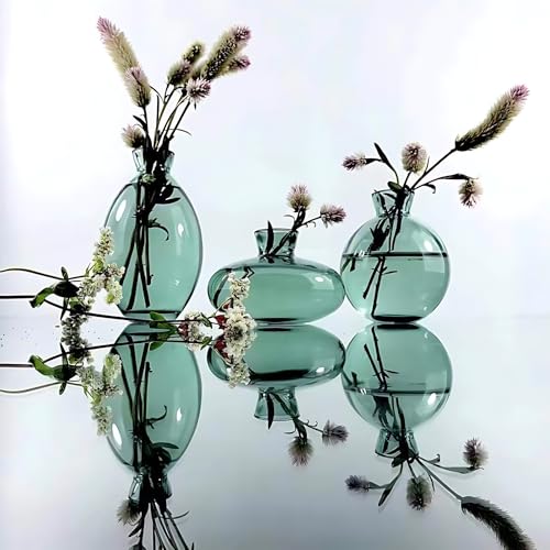 Cute Plant Propagation Station Glass Bulb Water Vases Green Office Decor - color: Green