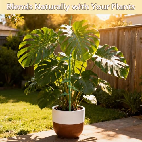 Telescoping Monstera Plant Support Stakes, Adjustable Climbing Plant Stakes - size: 2pcs 43.3IN