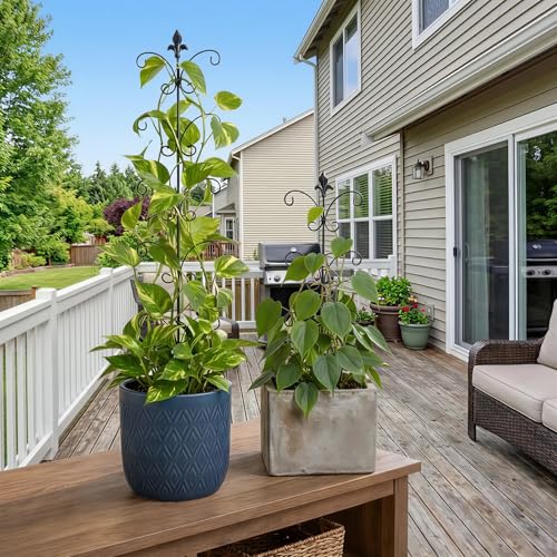 Metal Monstera Plant Support 2-Pack, Adjustable Height Steel Plant Trellis for Pothos, Vining & Climbing Potted Plants, Indoor & Outdoor, Sturdy Rotatable Plant Stakes with Rounded Ends, 31" & 46"