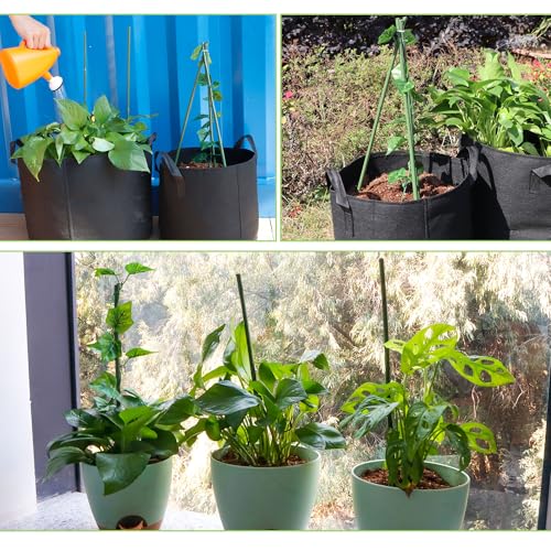 50Pcs 4ft Bamboo Sticks for Indoor Outdoor Plants, 0.29"-0.38" Natural Bamboo Poles, Durable Garden Stakes for Tomatoes, Beans, Flowers and Potted Plants - size: 4FT 50PCS