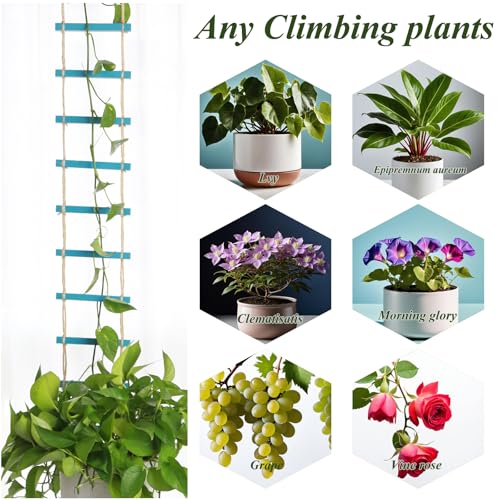 Blue Plant Ladder Indoor Plants Hanging Wooden Trellis for Vine - color: Blue ladder chain trellis