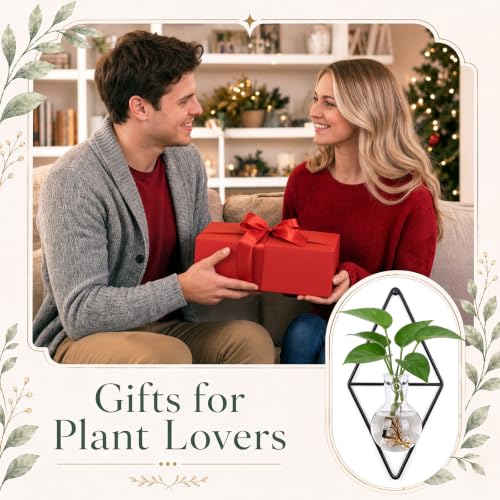 2 Pack Wall Hanging Glass Vase with Metal Frame, Wall Mounted Plant Propagation Station, Diamond Shape Hydroponic Glass Planters with Iron Holder and Screws for Indoor Decor (Black)