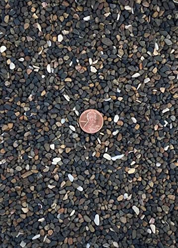 Cali-Bon 1/8" Mini Criva Bean Pebbles for Bonsai Tree, Fish Tank, Aquarium & Fairy/Zen Garden - 3 lbs/9 lbs/30 lbs (30 LBS) - size: 30 LBS