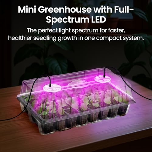 Bonviee Seed Starter Trays with Grow Lights, 80 Cells, 2 Pack | 2 Clear 40-Cell Kits, 80 Cells Total, Four 12-LED Vent Lights, Humidity Domes, Drainage Holes, 1-to-4 USB Cable - color: Clear, size: 2 Packs, with Light
