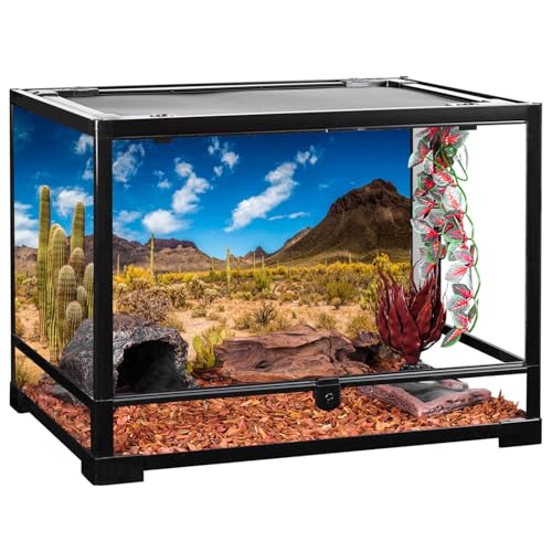 48x24 in Reptile Habitat Background Blue Sky Cactus Desert Tank Backdrop - size: 48x24in/120x60cm