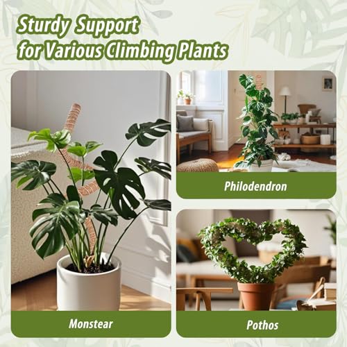 3 Pack Moss Pole, 28" 48" 63" Monstera Plant Support for Climbing Indoor Plants, Bendable Coco Coir Plant Support Stakes for Potted Plants, Pothos, Philodendron - size: 28 Inch, 48 Inch, 63 Inch - 3 Packs
