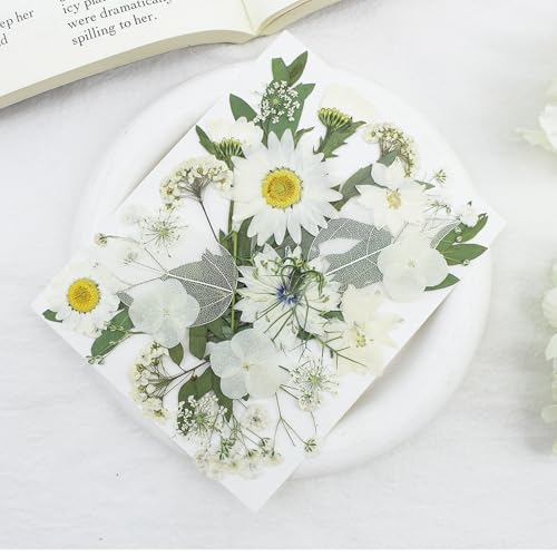 Dried Pressed Flowers Leaves Kit(150Pcs Yellow Red Purple Blue) - color: 150pcs Yellow Red White Purple Blue