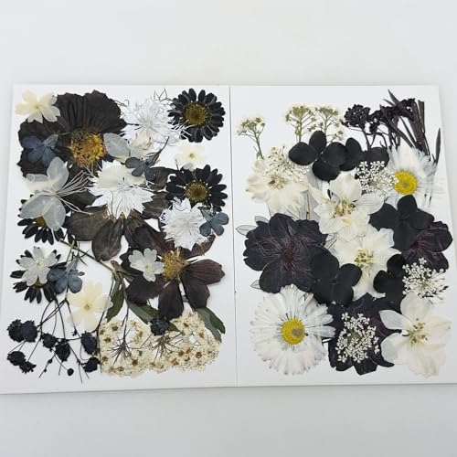 Cayway 2 Pack Pressed Flowers Natural Dried Flowers Black Resin Flowers Real Pressed Flowers with Butterfly Sticker for Resin Scrapbook DIY Art Crafts, Epoxy Resin Jewelry Supplies, Style D - color: Black White Style D