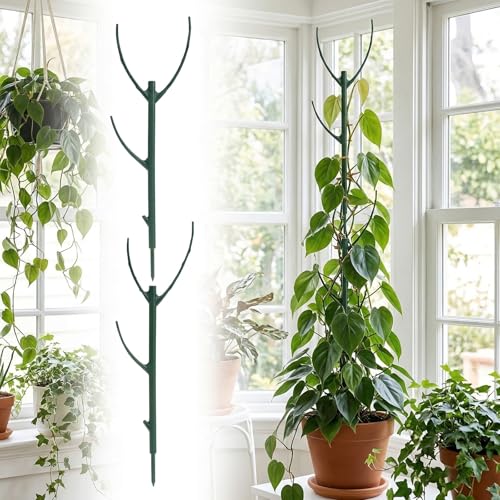 Ideal Swan 5 Pack Plant Stakes for Indoor Plants, Stackable Tomato Support - size: 5 pack
