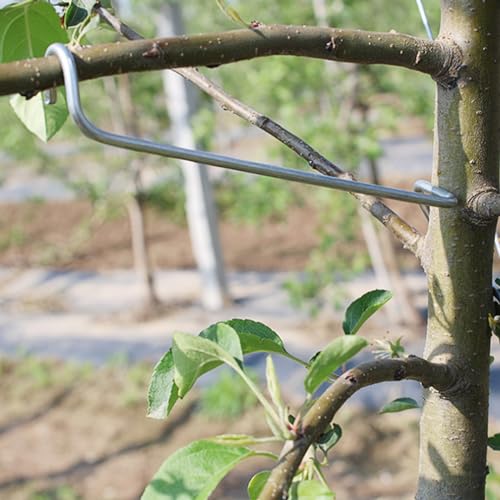 Fruit Tree Branch Limb Spreader Open Angle Pull Branch Separators Stereotyped Branch Bending Tool Fruit Branch(20 PCS)(T16)