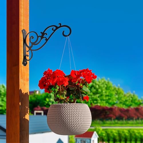 Hanging Planter Hooks 6-Inch 2 Pcs,Outdoor Hanging Brackets Wall Hook Heavy Duty Brackets,Black Iron Planters Hook Indoor/Outdoor Planter Hanger Brackets - size: 6 Inch