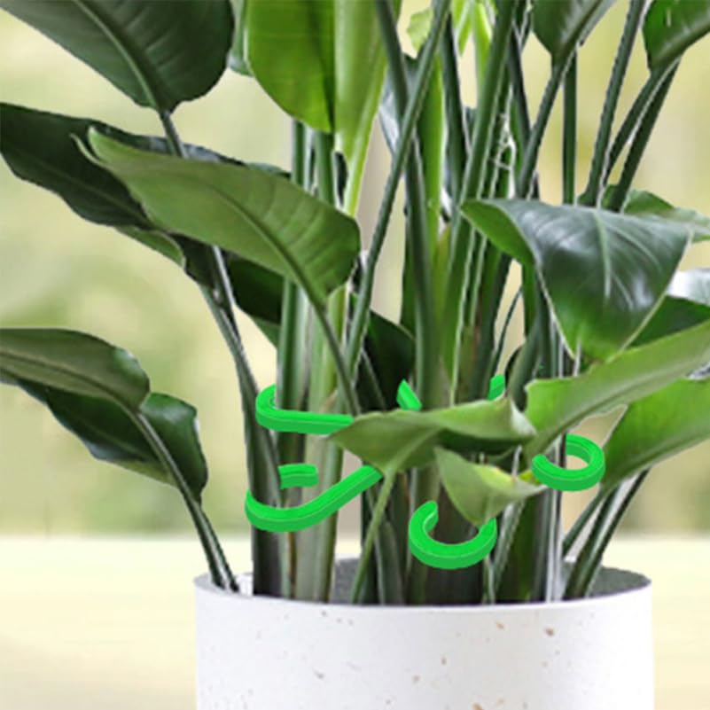 Toyvian 12Pcs Plant Stem Support Holders Floral Support Clips for Climbing Plants Garden Organization Stem Organizer Reusable Holders 5.39X5.39X0.11In