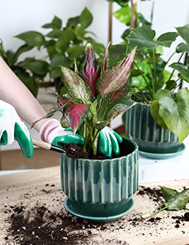 AISBUGUR Plant Pots 6 inch Ceramic Pots for Indoor Plants Set of 2 Flower Pots Unique Crackle Glaze Design Plant Pots with Drainage Hole and Saucer Come with Drainage Nets (Aqua Green) - color: Aqua Green
