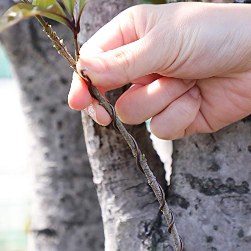 Wazakura Japanese Bonsai Training Wire, Brown Anodized Coating Aluminum Made in Japan 150g (Brown, 4mm) - size: 4mm