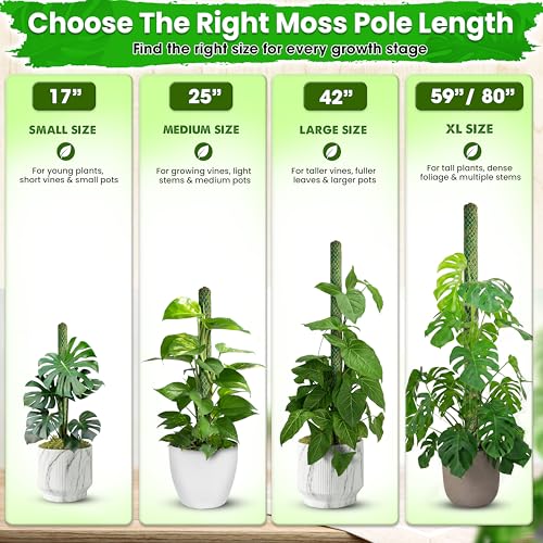 DUSPRO 2 Pack 17" Mesh Moss Pole for Climbing Plants, Pre-Made Moss Pole - size: 17"