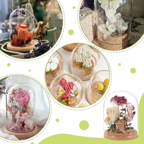BENECREAT Glass Display Dome Cloche, 4.9x6.5 inch, Clear Glass Bell Jar with Cork Base for Decorative Jars, Flowers, Specimens, Crafts