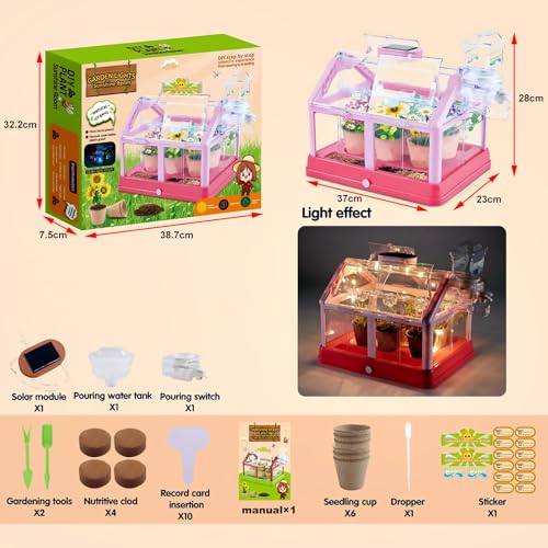 EXBEPE Kids Plant Growing Kit Greenhouse Growing Set Terrarium Kit Kids Science Educational DIY Plant Gardening Toy, Living Greenhouse with Solar Panel, Indoor Gardening Kit